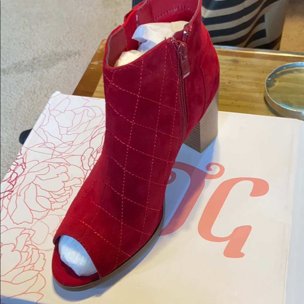 Red Block Pump - Picture 2 of 2